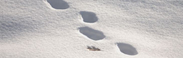 Winterlaars