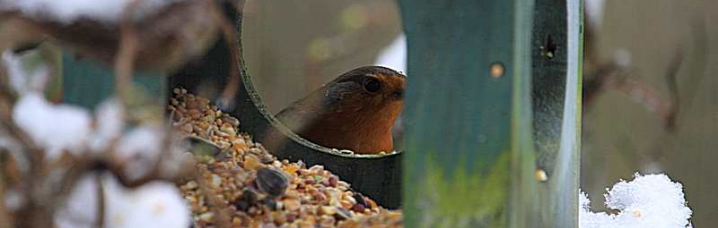 Voederhuisjes