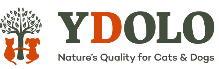 Ydolo