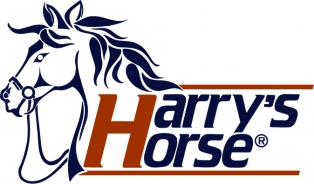 Harry’s Horse