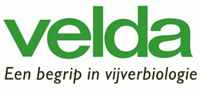 Velda