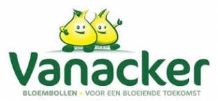 Van Acker Bloembollen
