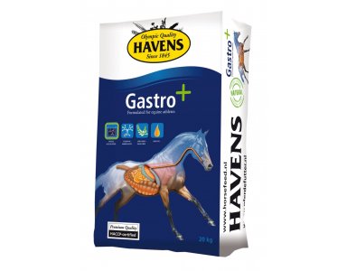 Havens Gastro+ 20kg - foto 1