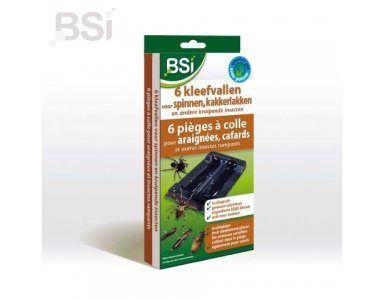 BSI Kleefvallen 5st - foto 1