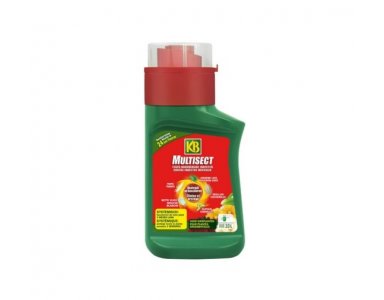 KB Multisect Insecticide tegen Buxusmot - foto 1