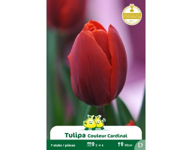 Bloembol Tulpen Enkel Vroeg Couleur Cardinal 7st - foto 1