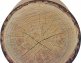 Trunk Boomstam krabmeubel Karton District 70 40x40x30cm - foto 2