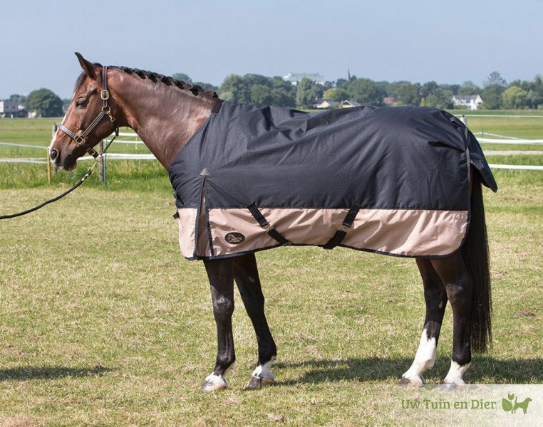 Harrys Horse 32204712-165cm Regendecke Thor Combo Stretch Limo M Harrys Horse 32204712-165cm Regendecke Thor Combo Stretch Limo M