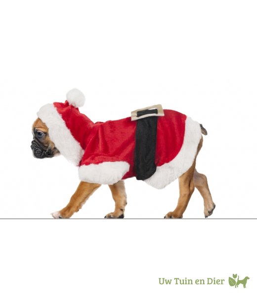 Bekijk het internet vocaal de sneeuw Hondentrui Kerstman Kostuum