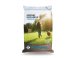 Healthy Dog Brokken Regular 15 kg