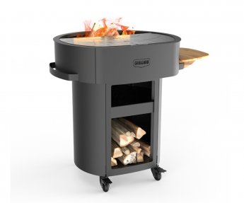 Grill Guru BBQ Plancha