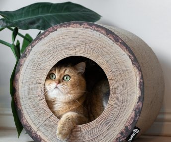 Trunk Boomstam krabmeubel Karton District 70 40x40x30cm