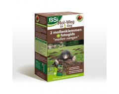 BSI Mol-Weg in 1 dag - foto 1