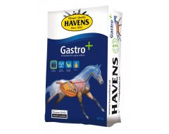 Havens Gastro+ 20kg