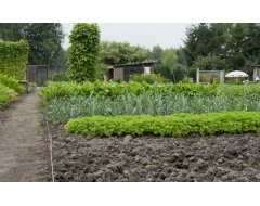 Moestuinmeststoffen