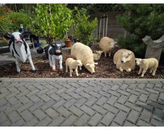Neerhofdieren