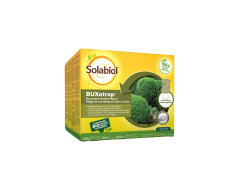 Buxatrap Buxus Monitoringval Solabiol