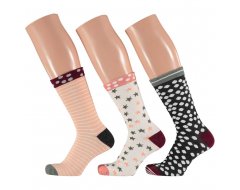 Apollo Dames Sokken in Giftbox 3-pack 36/41 Multicolor - foto 1