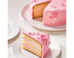 FunCakes Mix voor Biscuit Deluxe