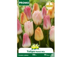 Bloembol Tulpen Pastel Mix 15st