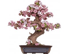 Robotime Sakura Bonsai