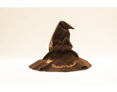 Harry Potter 3D Modelbouw Talking Sorting Hat